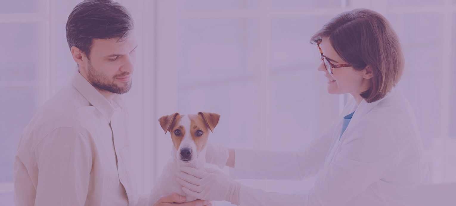 Understanding the Seriousness of Dog Bites